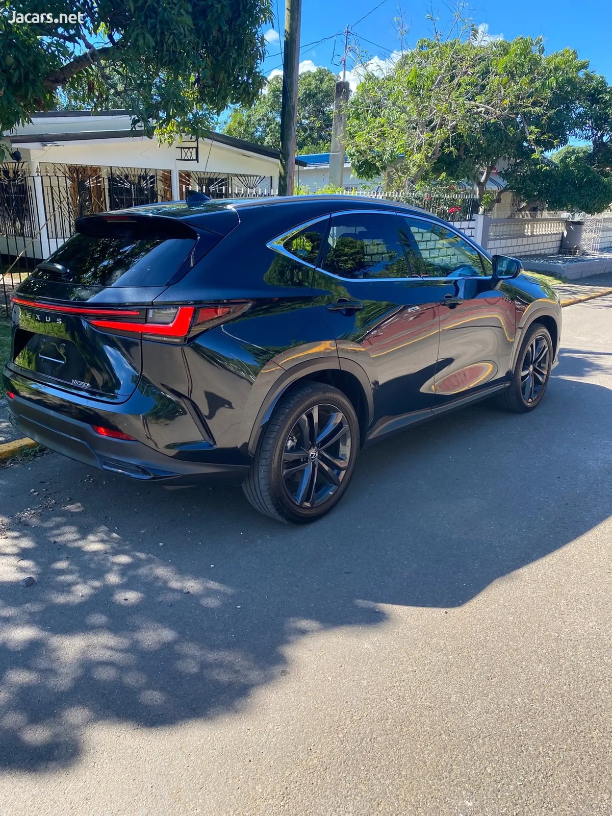 2024 LEXUS NX