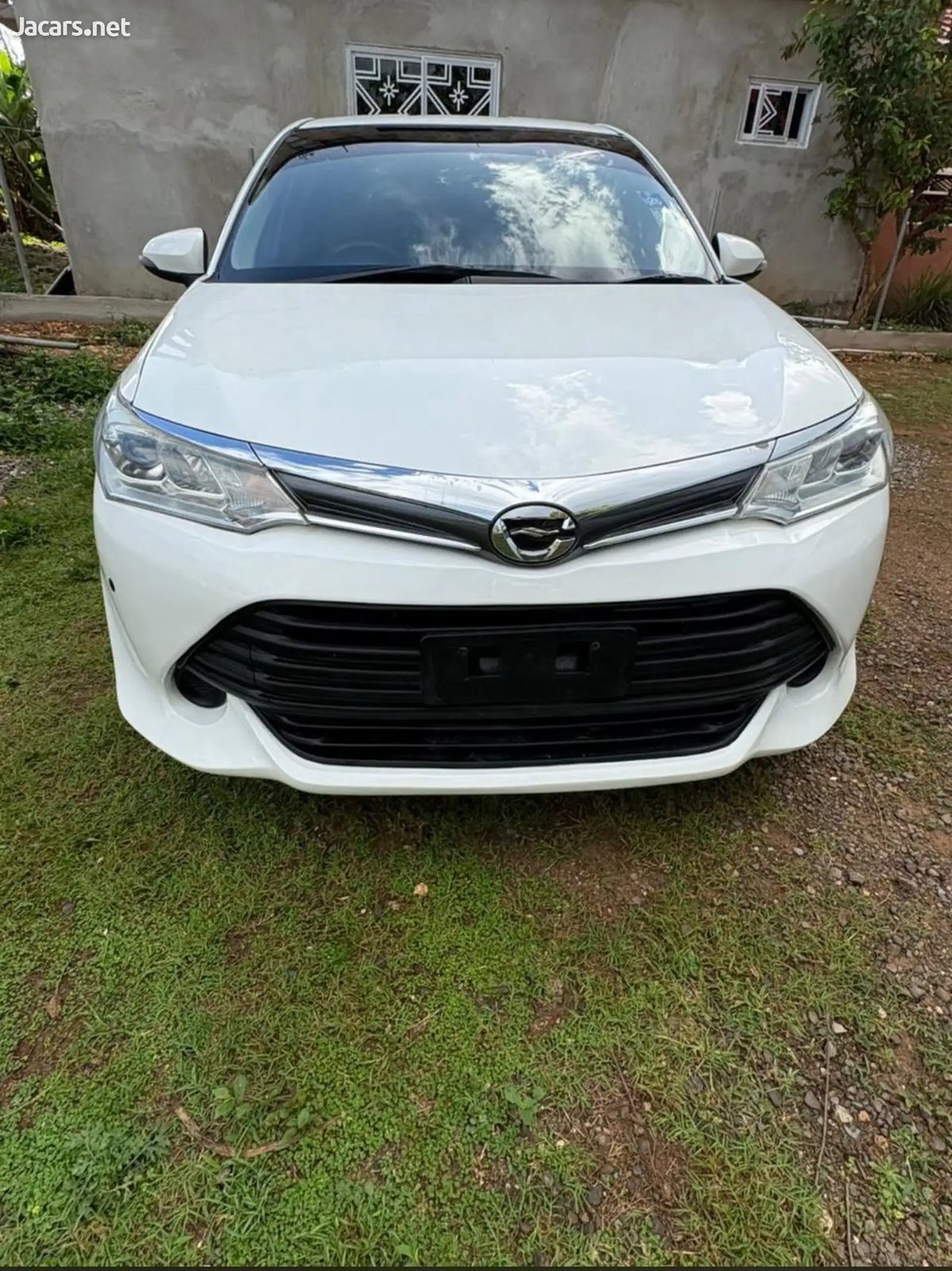 2015 TOYOTA Axio