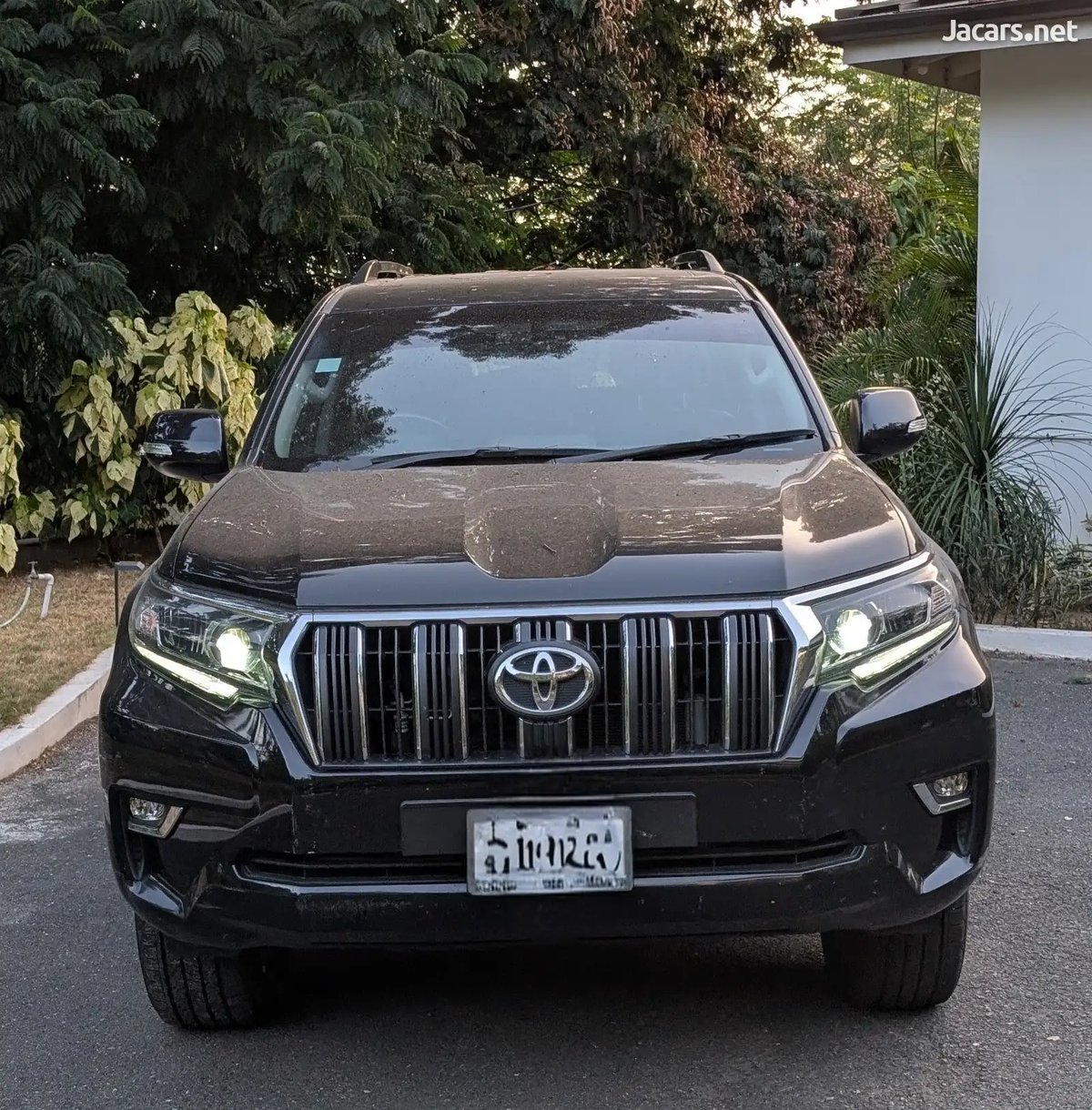 2021 TOYOTA Prado