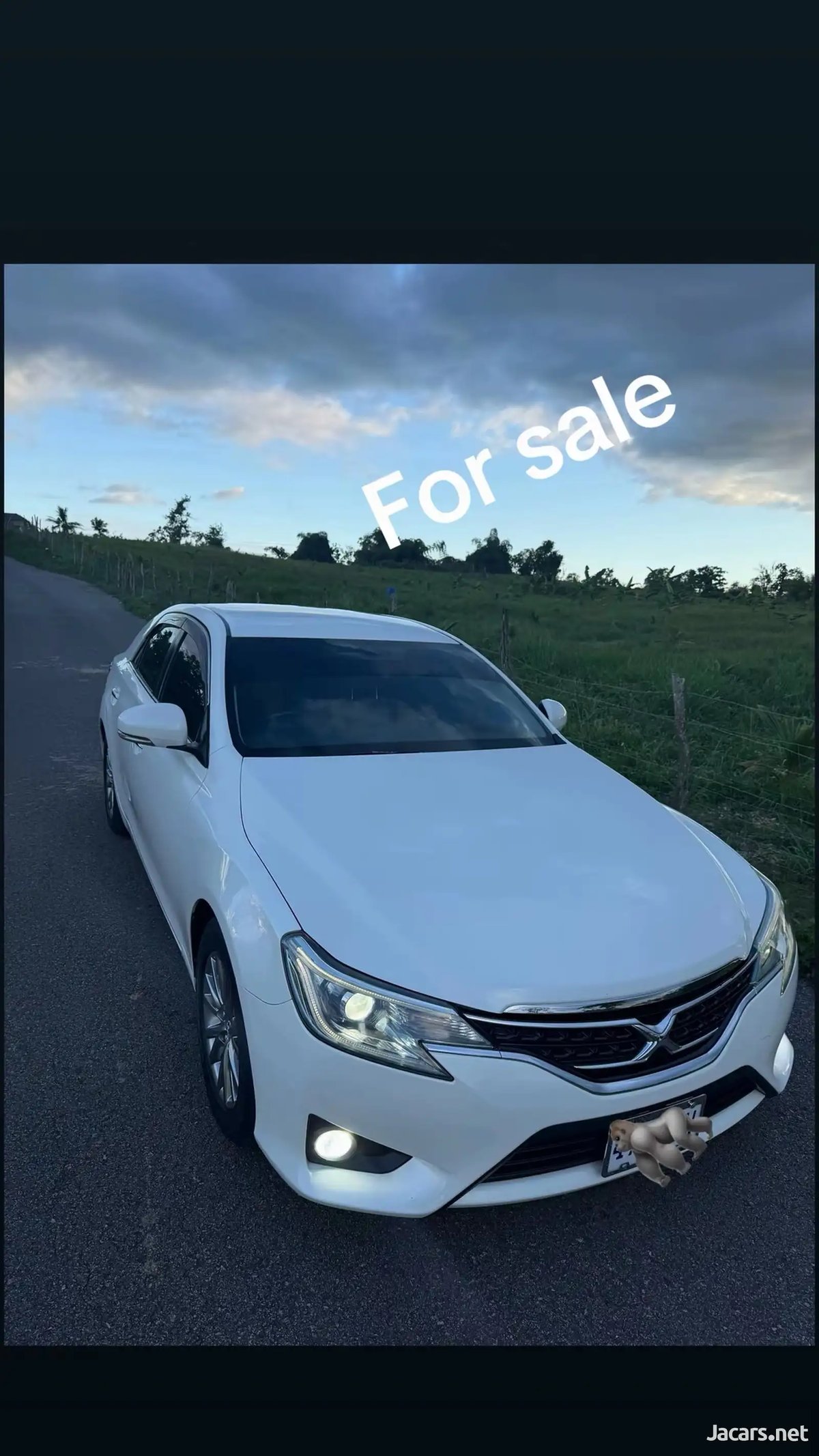 2014 TOYOTA Mark