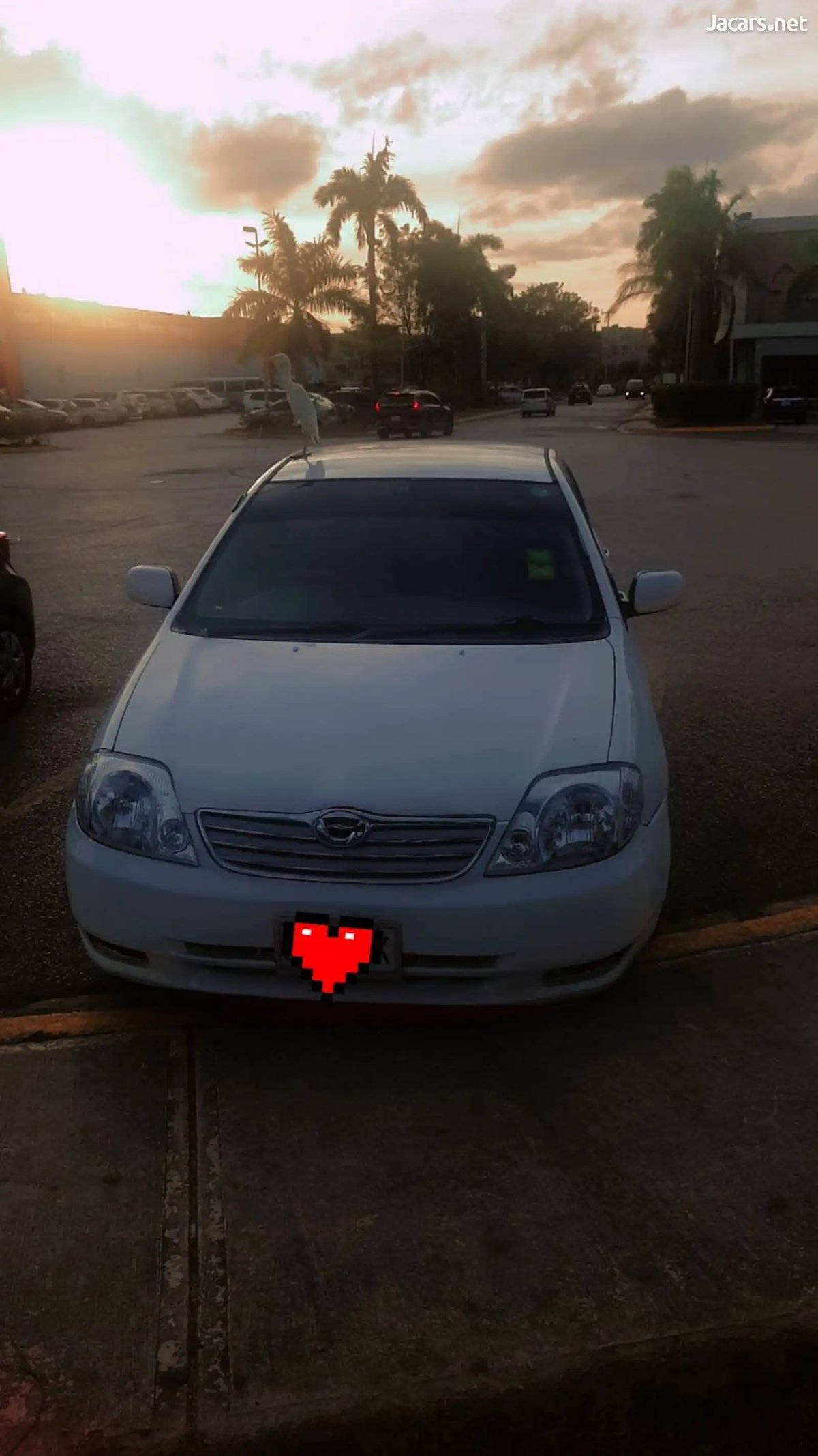 2002 TOYOTA Corolla