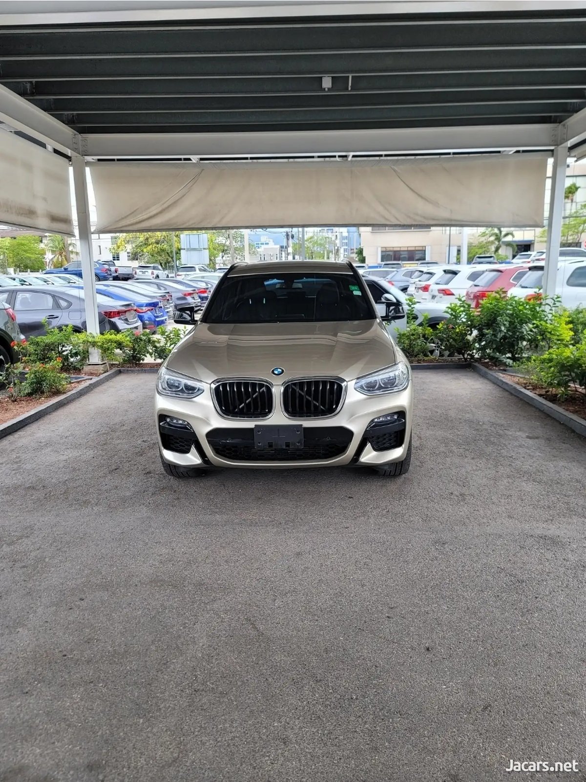 2021 BMW X3