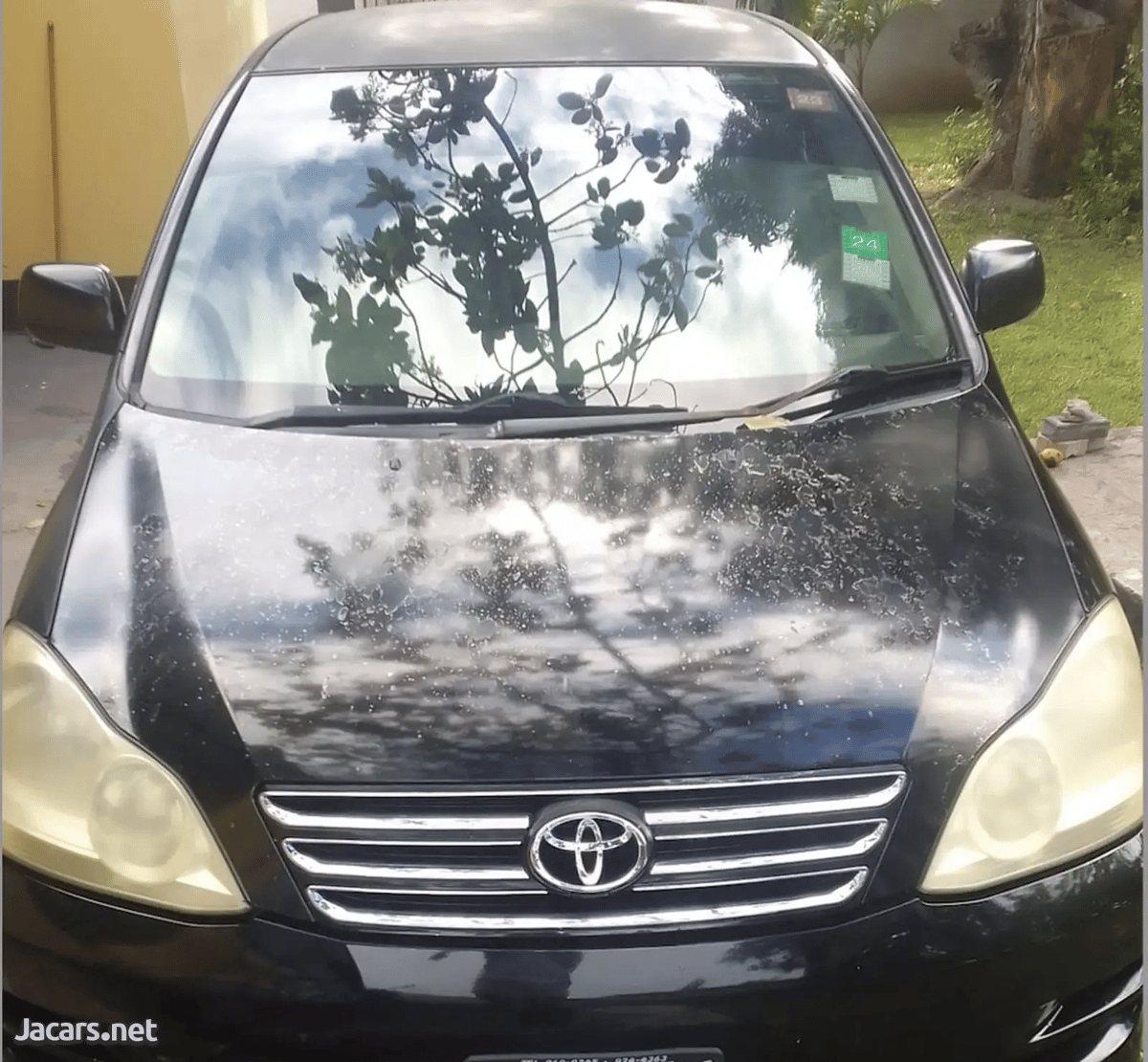 2007 TOYOTA Ipsum
