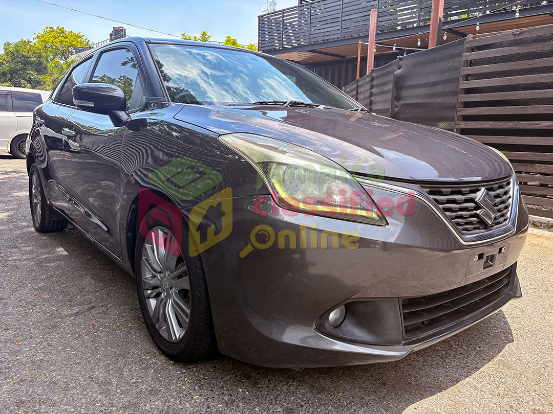 2019 SUZUKI Baleno