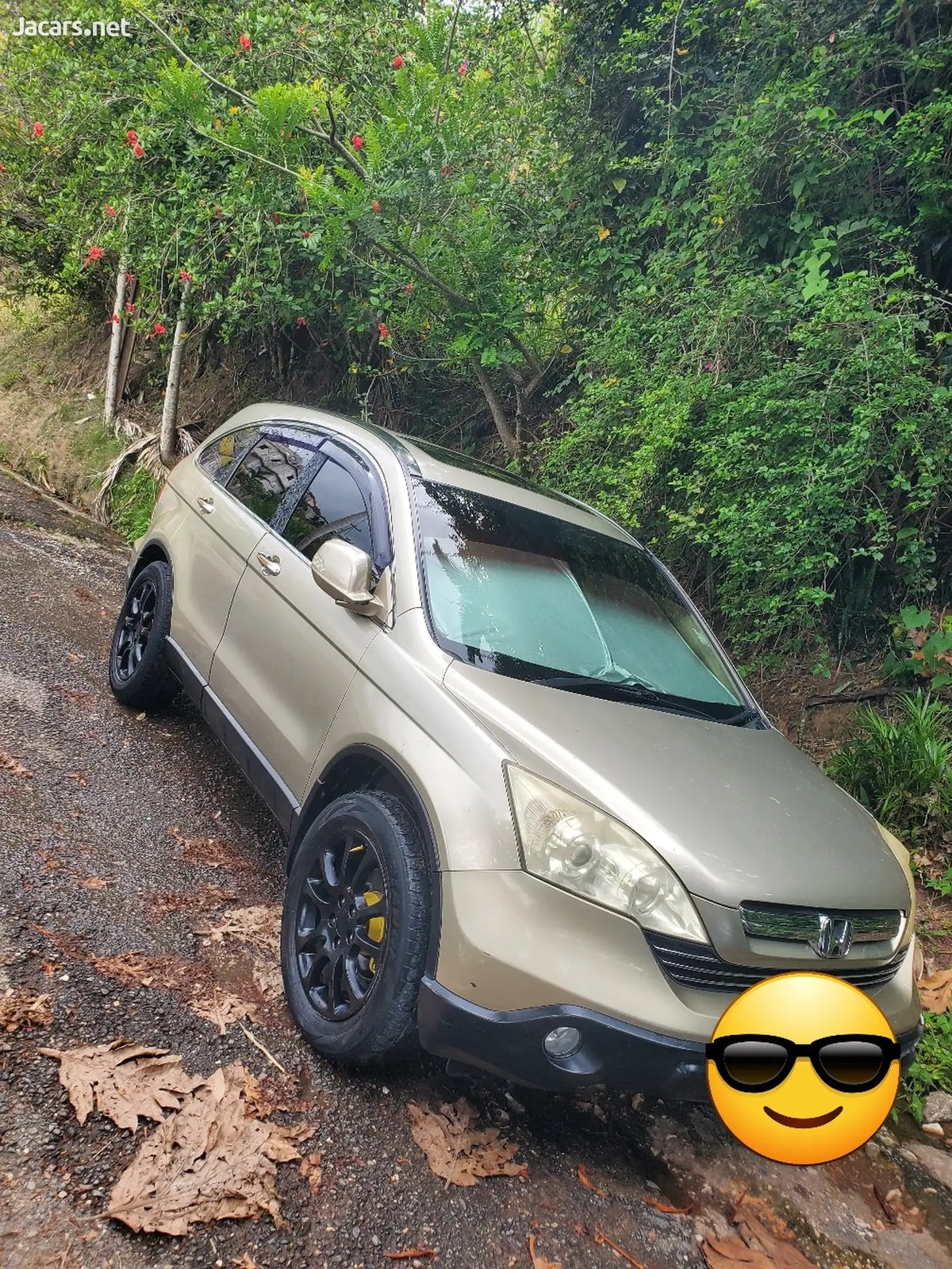 2010 HONDA CR-V