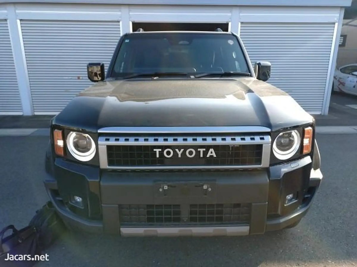 2025 TOYOTA Land