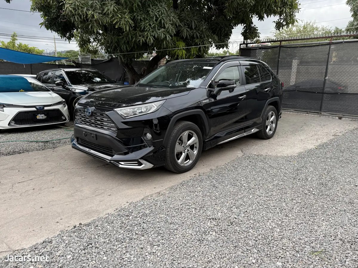 2019 TOYOTA RAV4