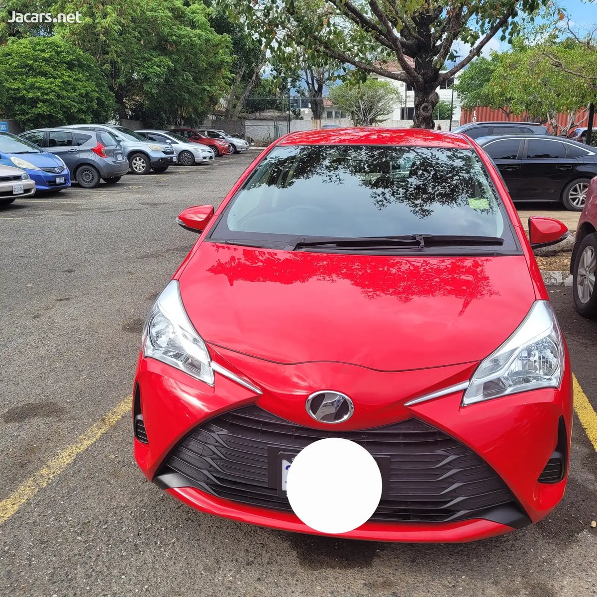 2020 TOYOTA Vitz