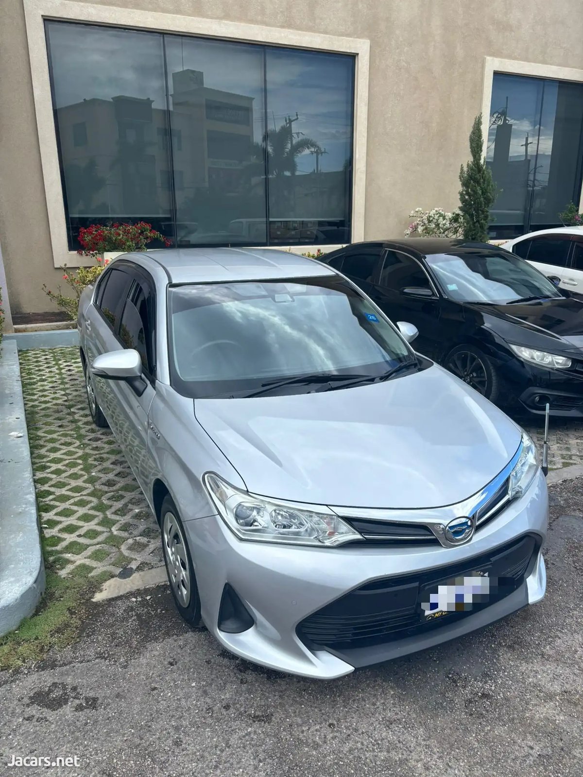 2019 TOYOTA Axio