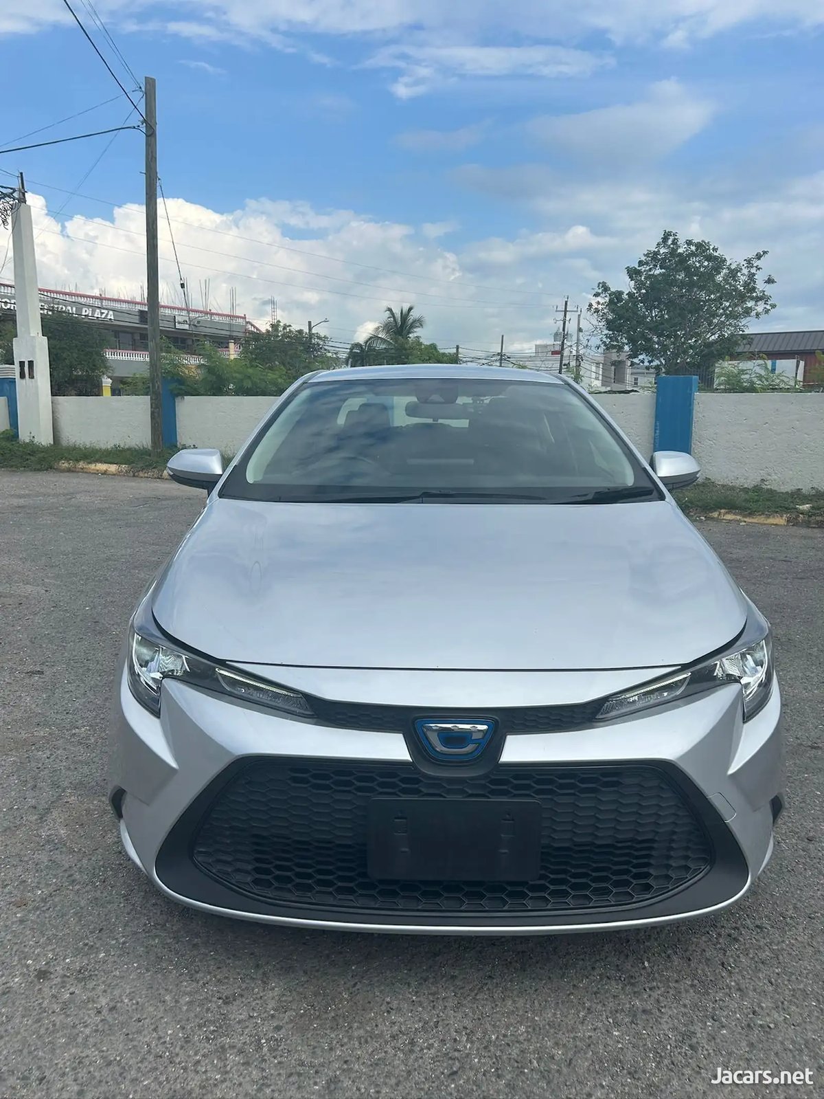 2020 TOYOTA Corolla
