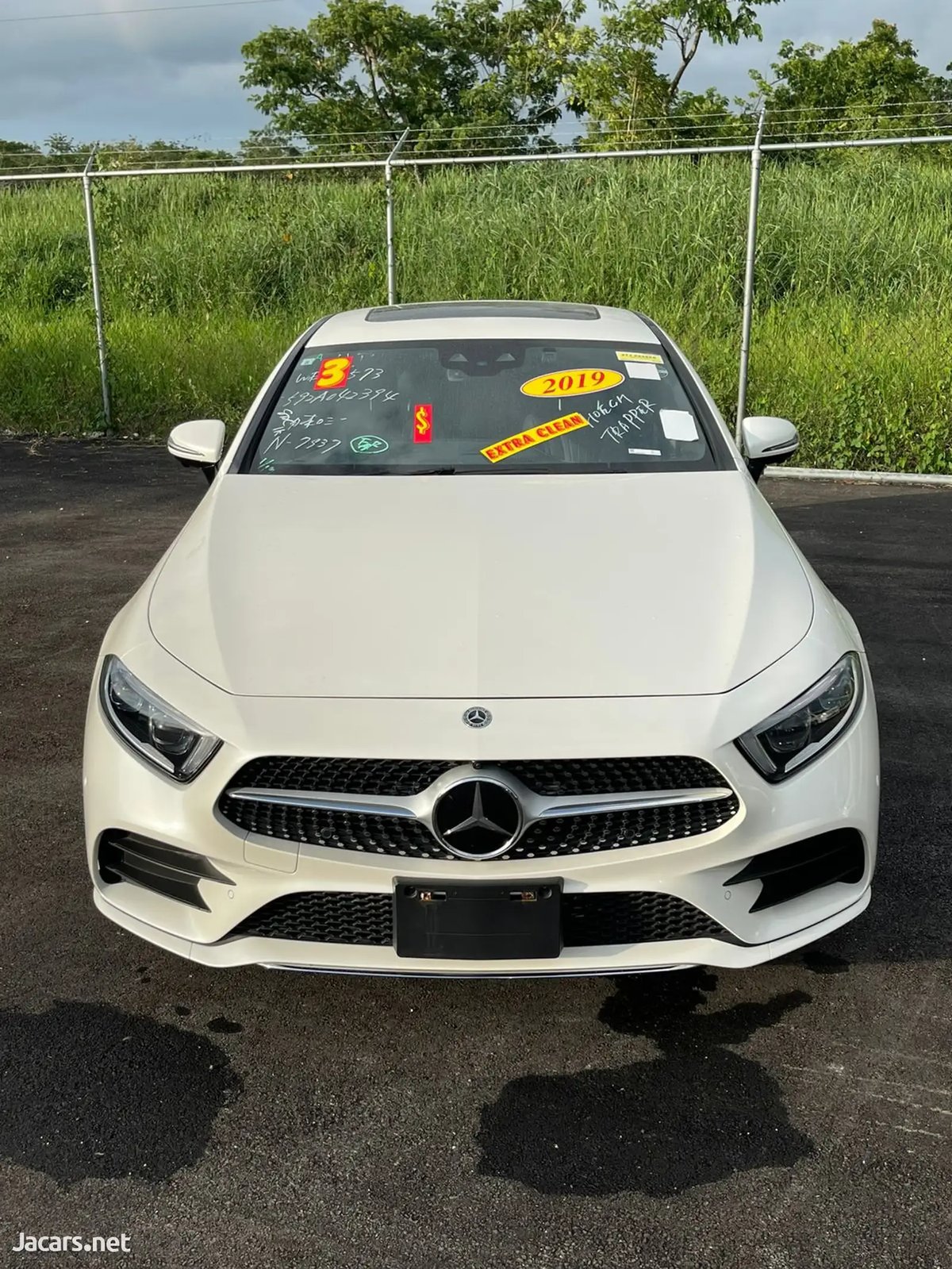 2019 Mercedes-Benz CLS-Class