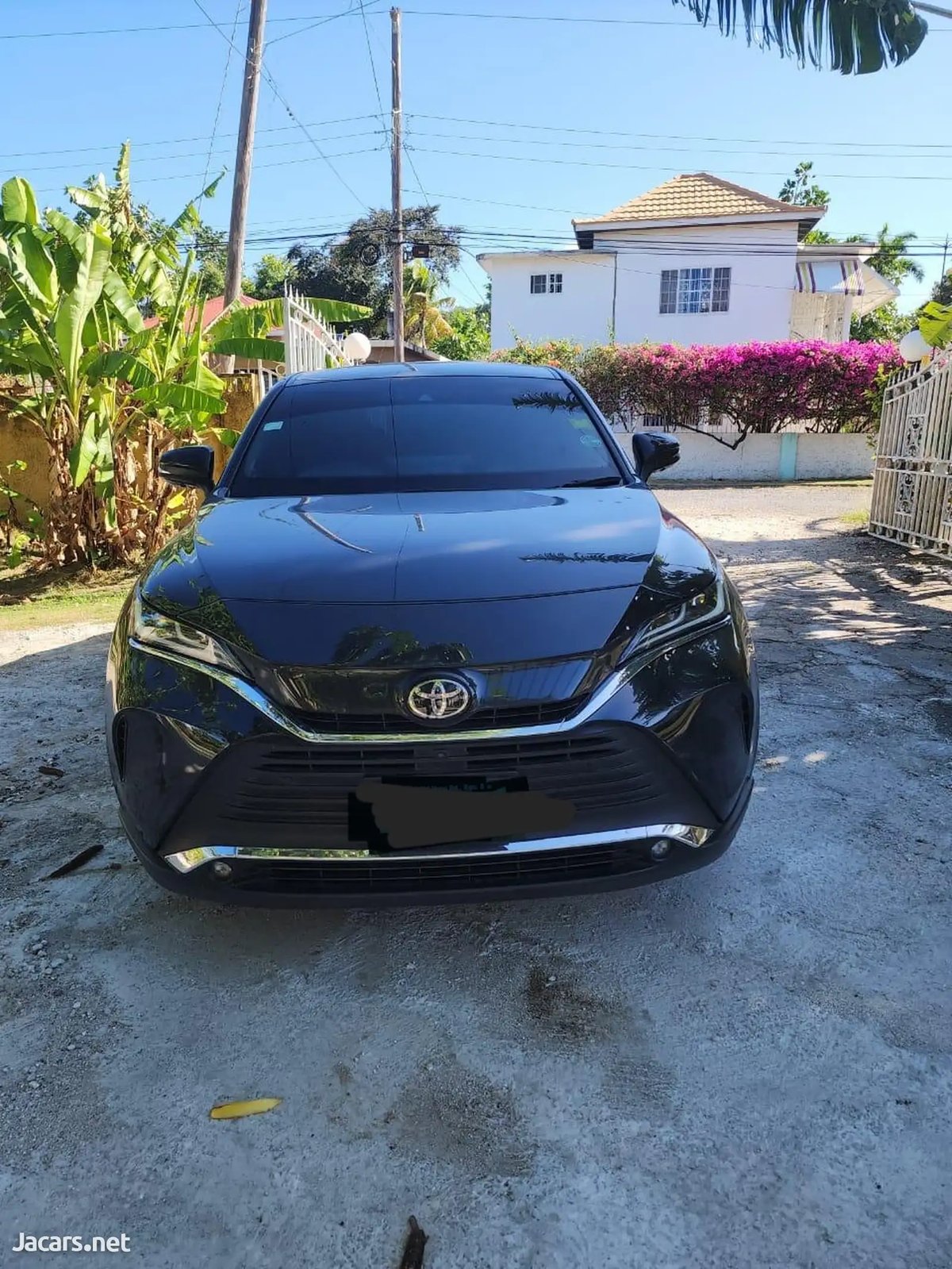 2021 TOYOTA Harrier