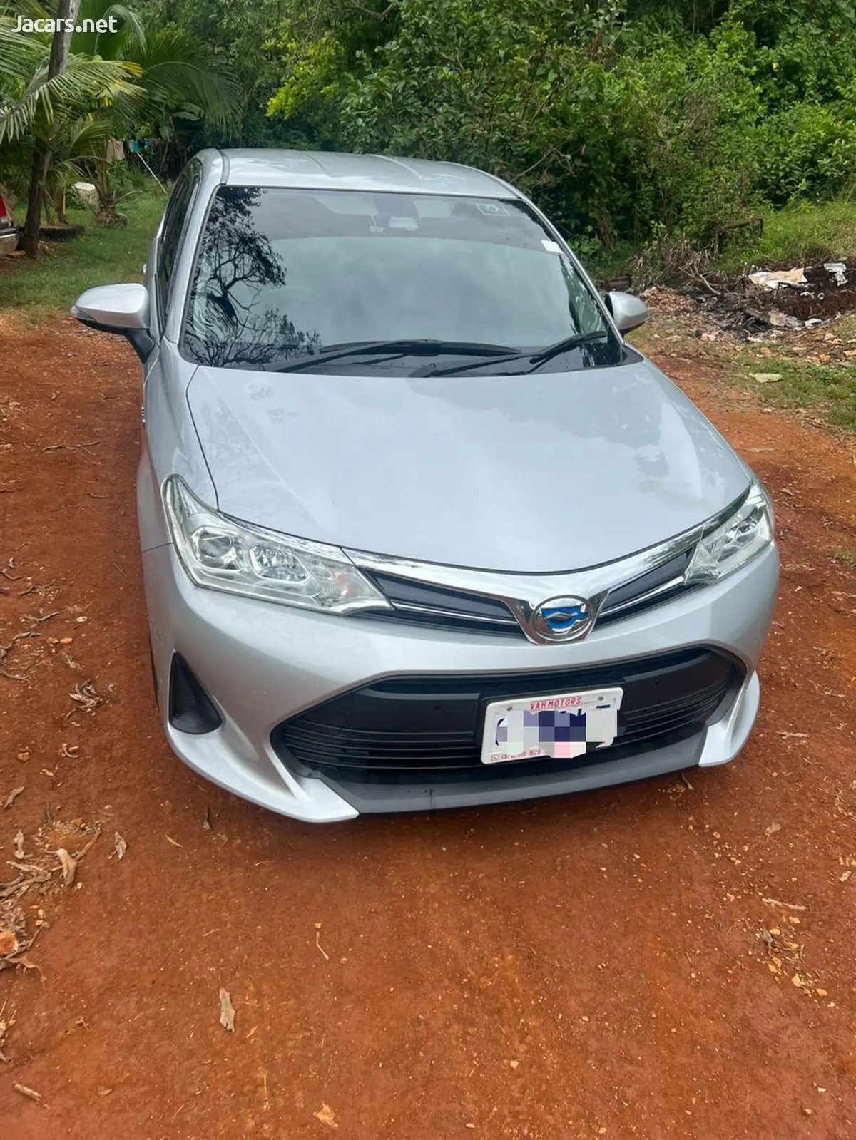 2019 TOYOTA Axio