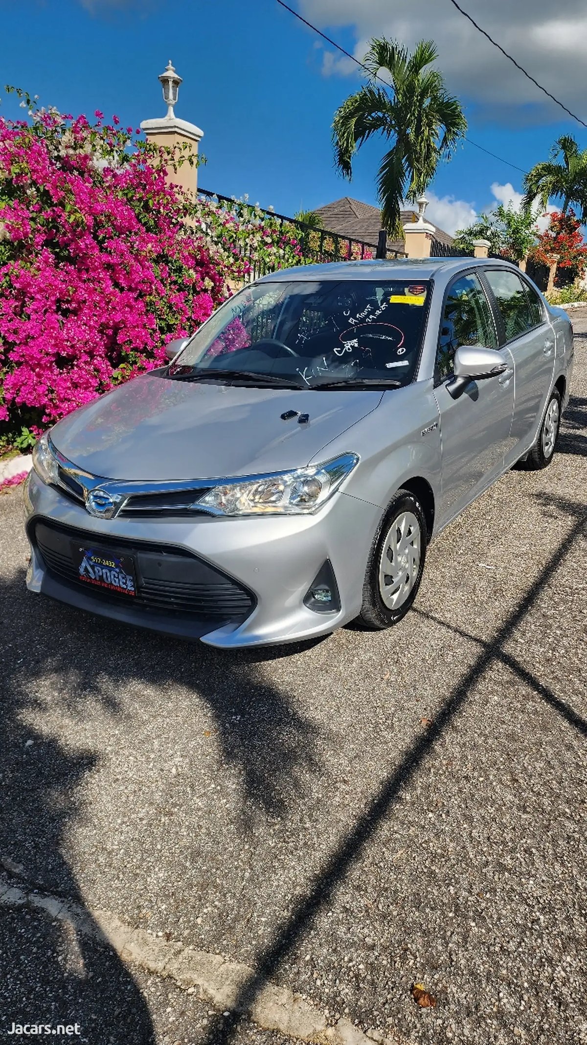 2020 TOYOTA Axio