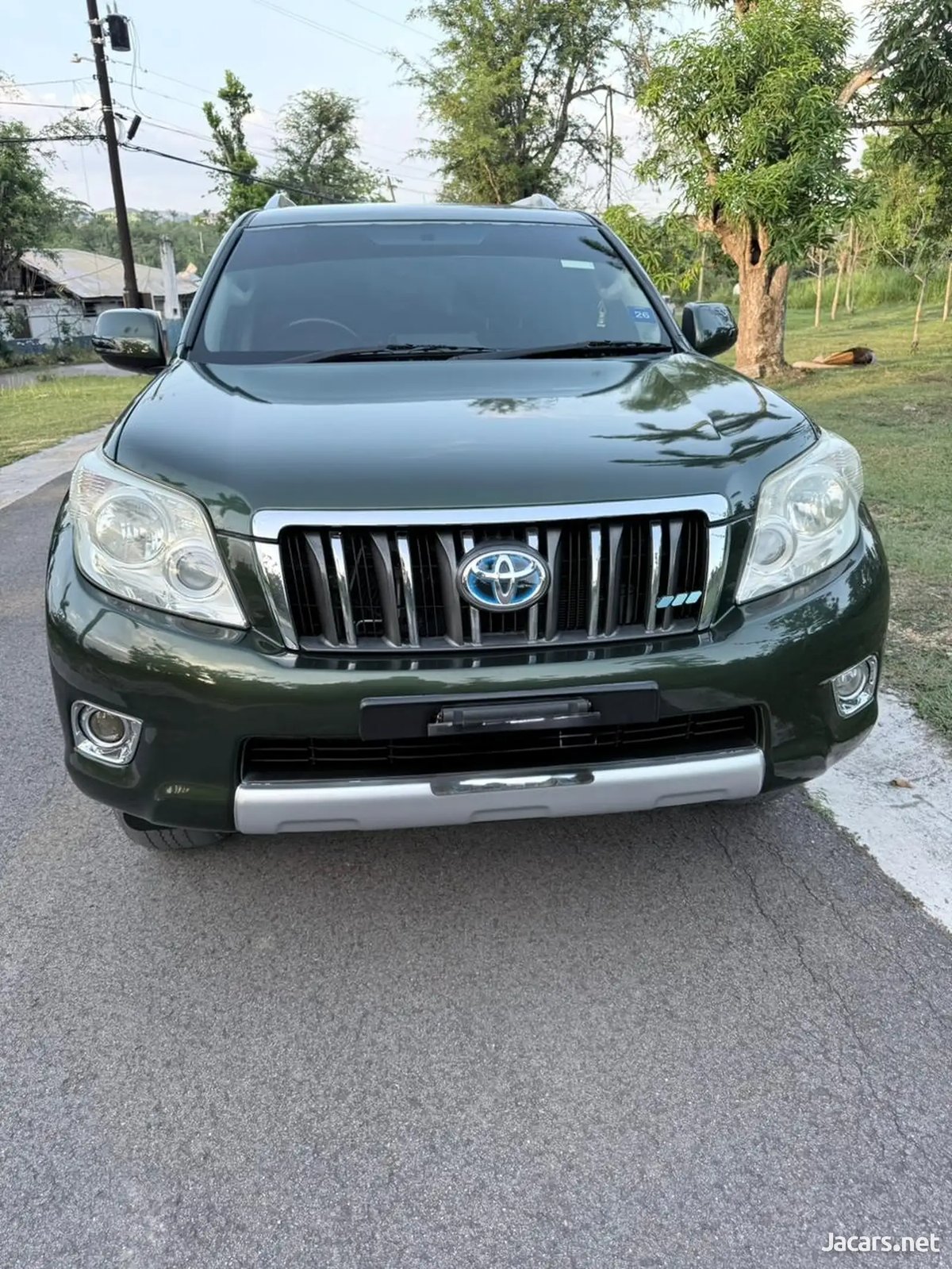 2010 TOYOTA Land