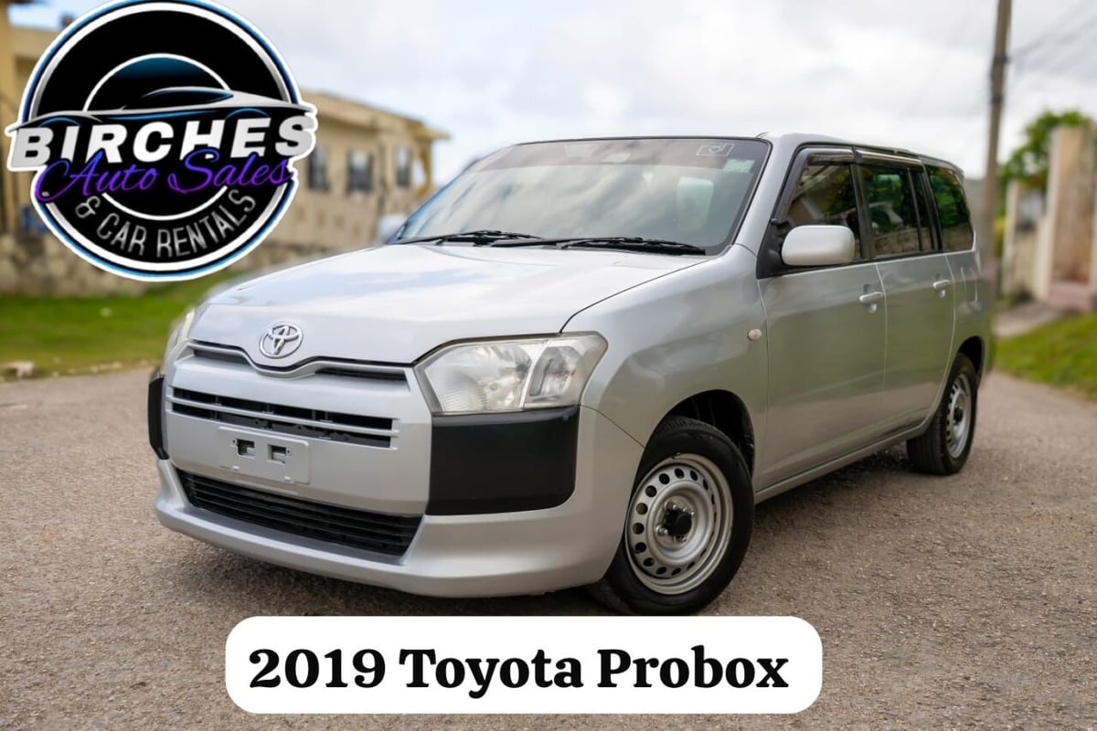 2019 TOYOTA Probox