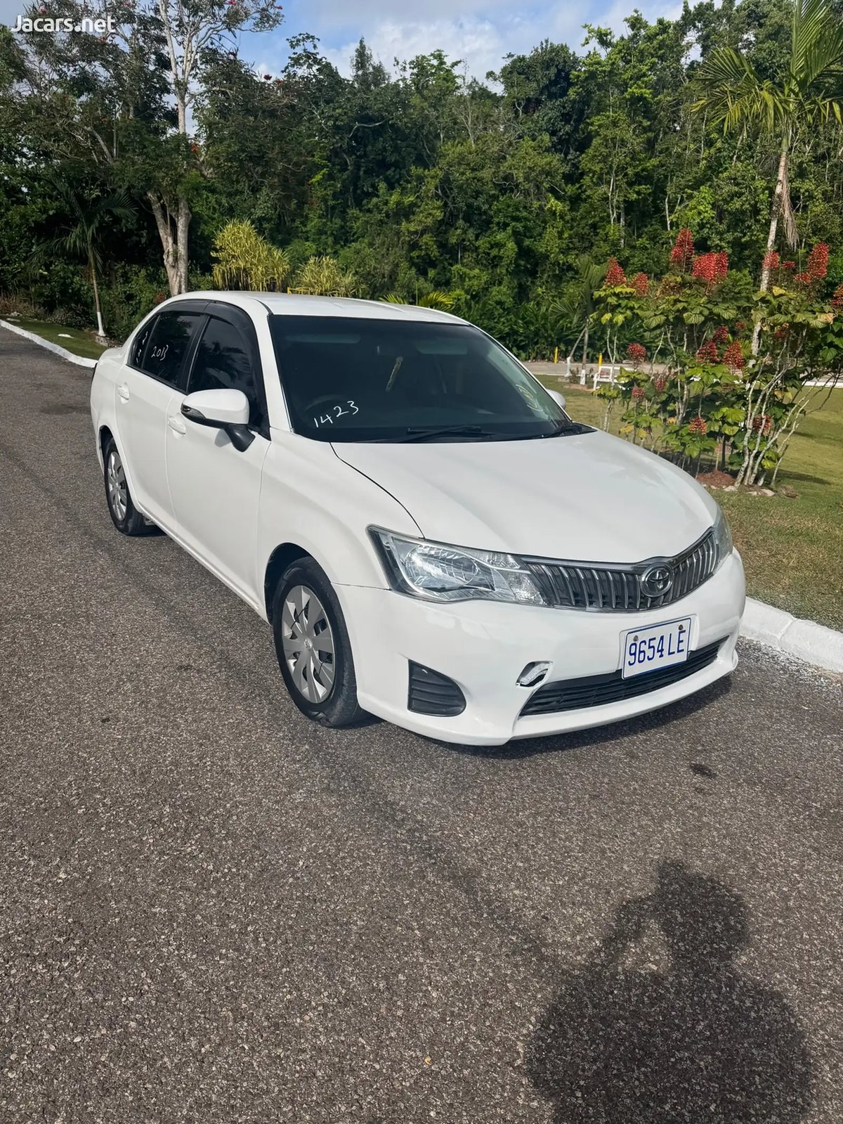 2013 TOYOTA Axio