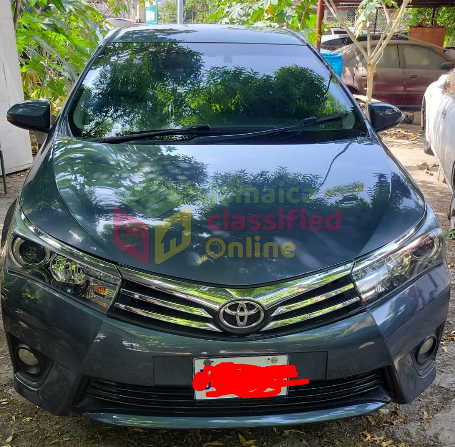 2024 TOYOTA Altis