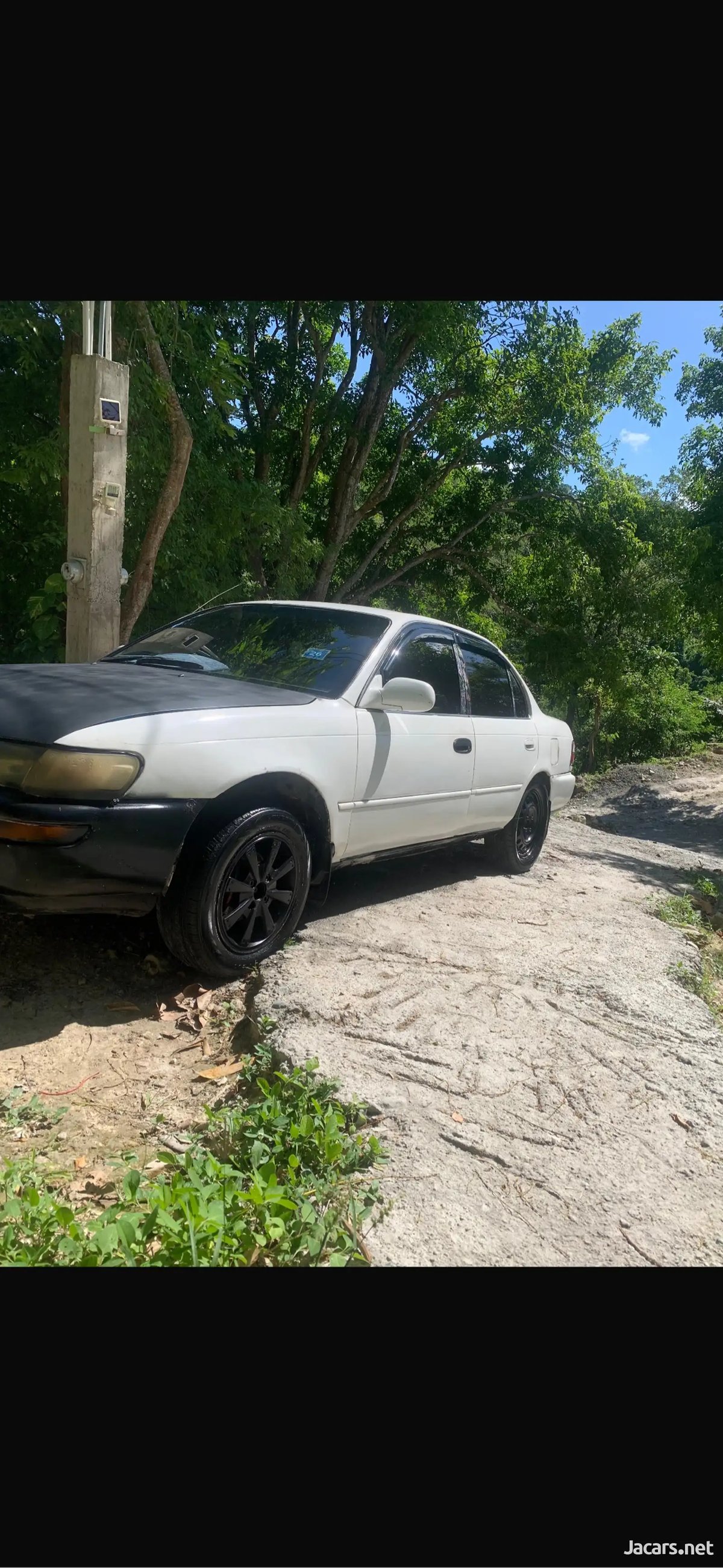 1995 TOYOTA Corolla