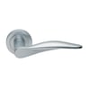 Dali Lever On Round Rose