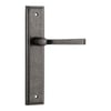Door Handles on Plate