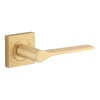 Door Handles on Square Rose