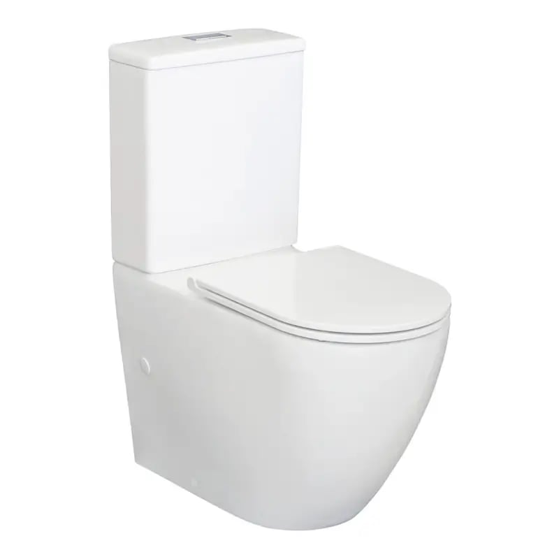 Fienza Alix Back to Wall Extra Height Rimless Toilet Suite