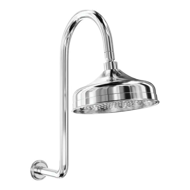 Fienza Lillian Goose Neck Wall Mount Shower Set