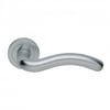 Fly Lever On Round Rose