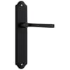 Lever on Shouldered Plate Set Only