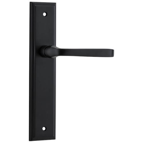 Lever on Shouldered Plate Set Only