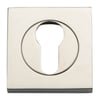 Polished Nickel