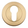 Satin Brass