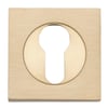 Satin Brass