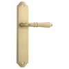 Lever on Shouldered Plate Set Only
