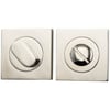 Polished Nickel