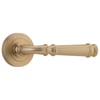 Iver Verona Lever on Round Concealed Rose