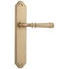 Lever on Shouldered Plate Set Only