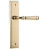 Lever on Stepped Plate Set Only