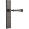 Lever on Stepped Plate Set Only