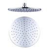 Shower Head and Arms