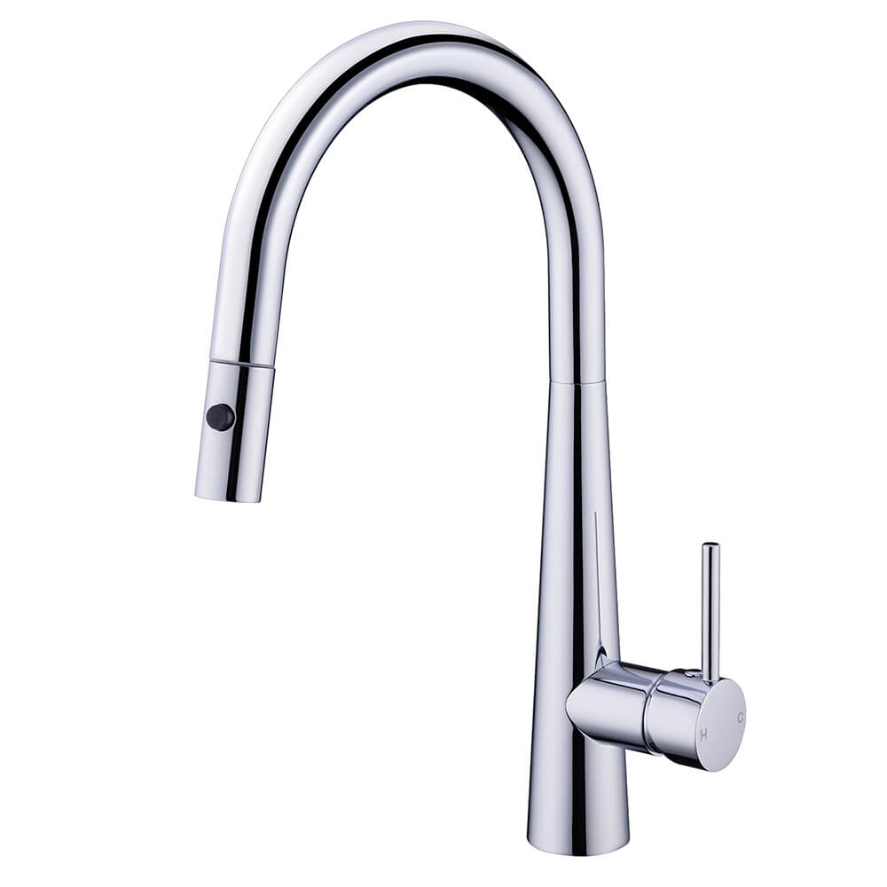 Nero Dolce Goose Neck Pull Out Sink Mixer With Veggie Spray