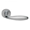 Pisa Lever On Round Rose