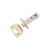 Polished Brass