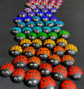 Rainbow Ladybugs gallery image