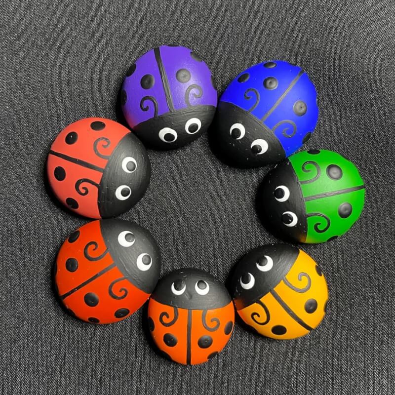 Rainbow Ladybugs