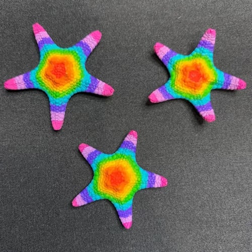 Rainbow Starfish