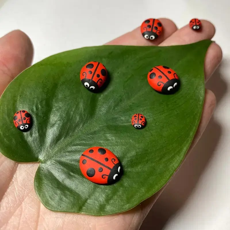Super Tiny Ladybugs