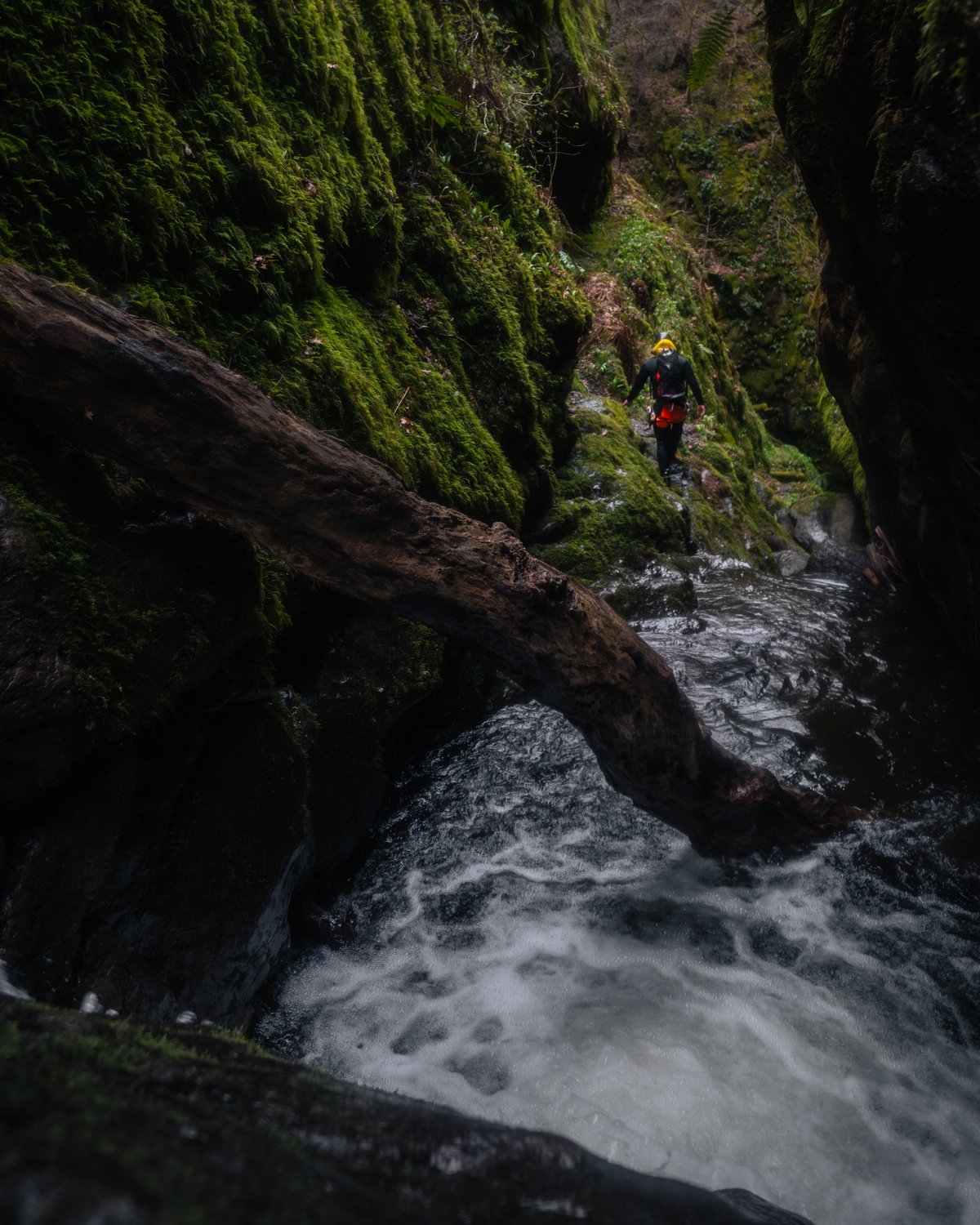 Canyoning guide sustainably explores a unique habtat for wildlife in Scotland's Canyons