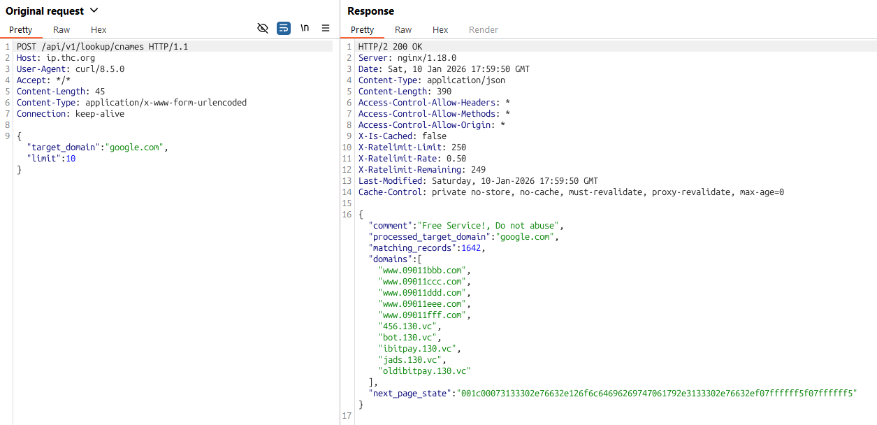 API and CSV endpoint examples for IP, subdomain, and CNAME lookups in IP.THC.ORG.